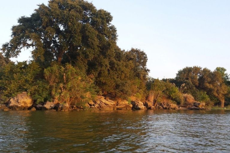 foundation repair and helical piers in lake worth