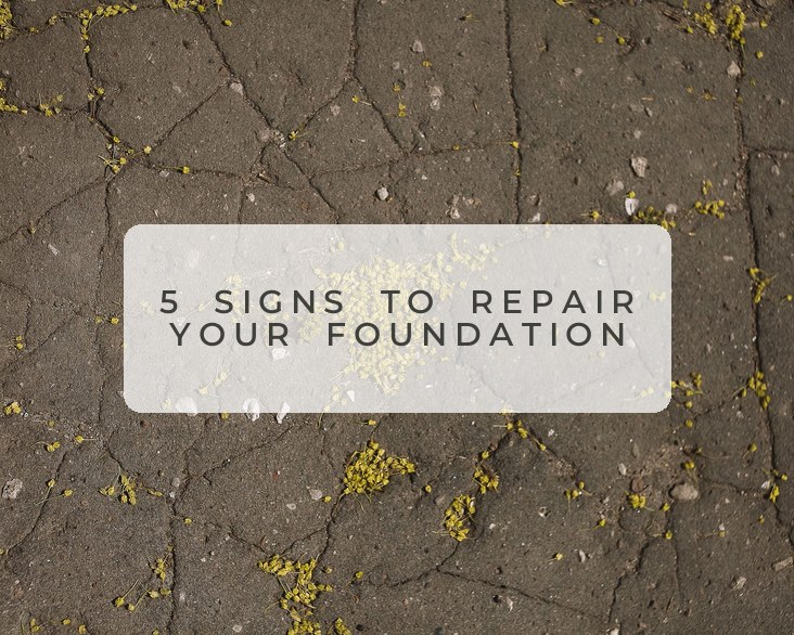 Cracked concrete slab showing signs a foundation needs repair