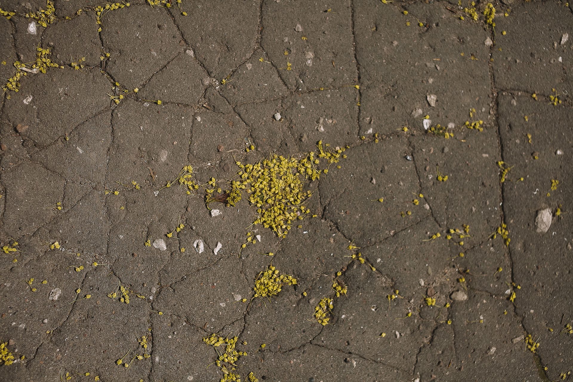 Cracked, settled concrete slab in need of foam lifting and leveling