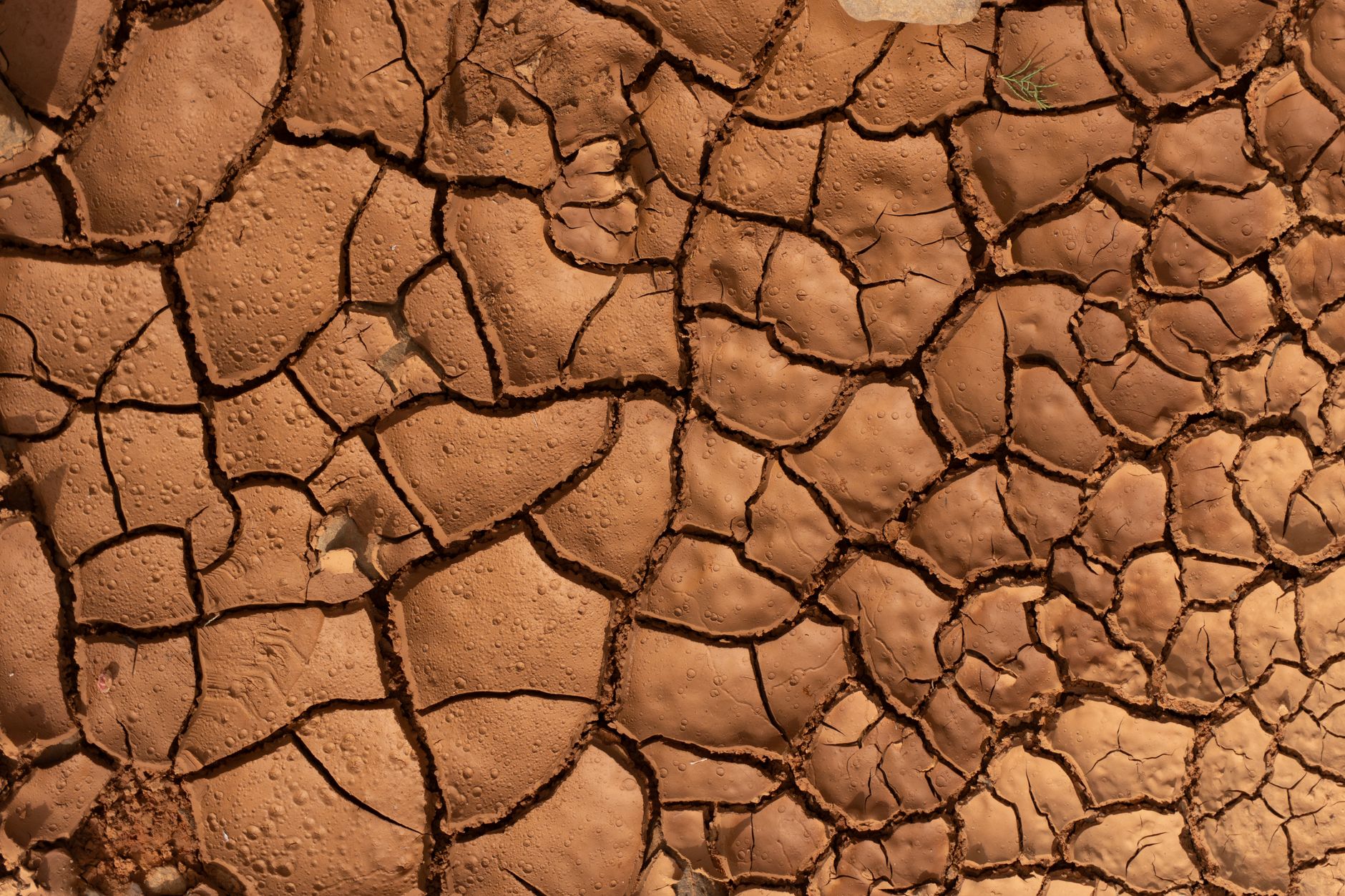 fnd expansive clay soil